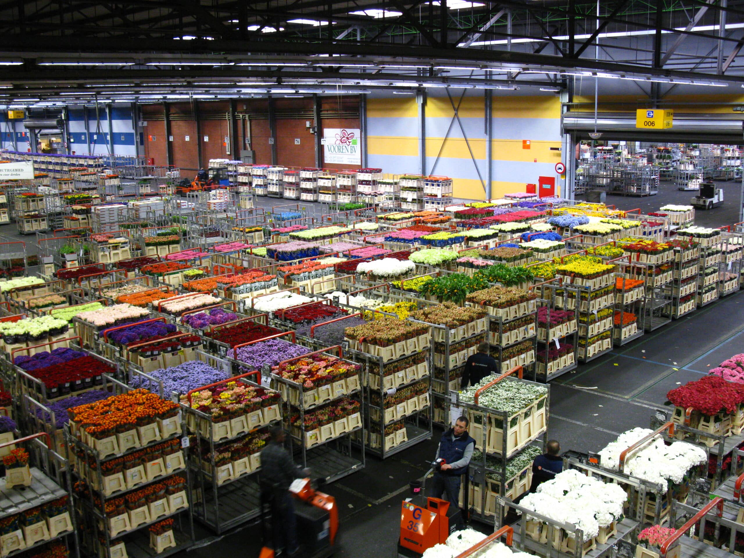 industrie florale