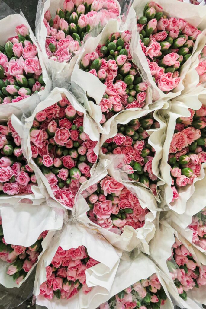 Quelles fleurs choisir en mai