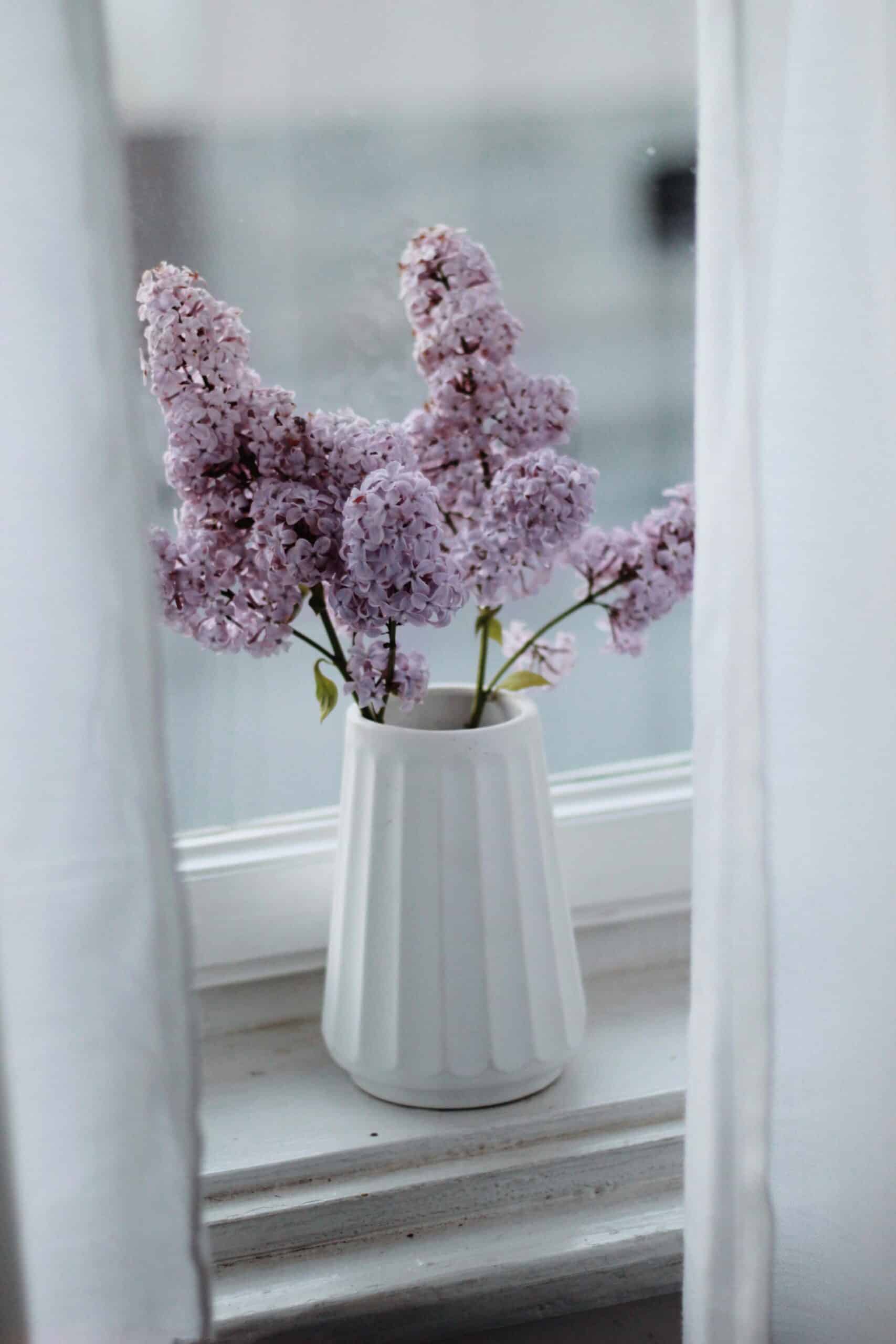 lilas