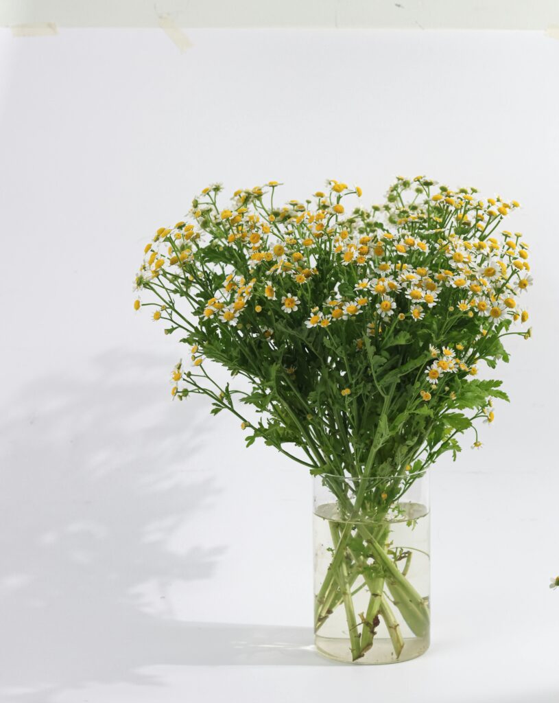 Quelles fleurs choisir en mai