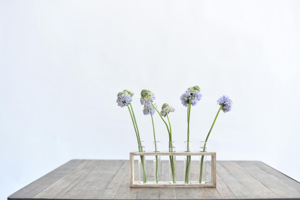 Quelles fleurs choisir en mai
