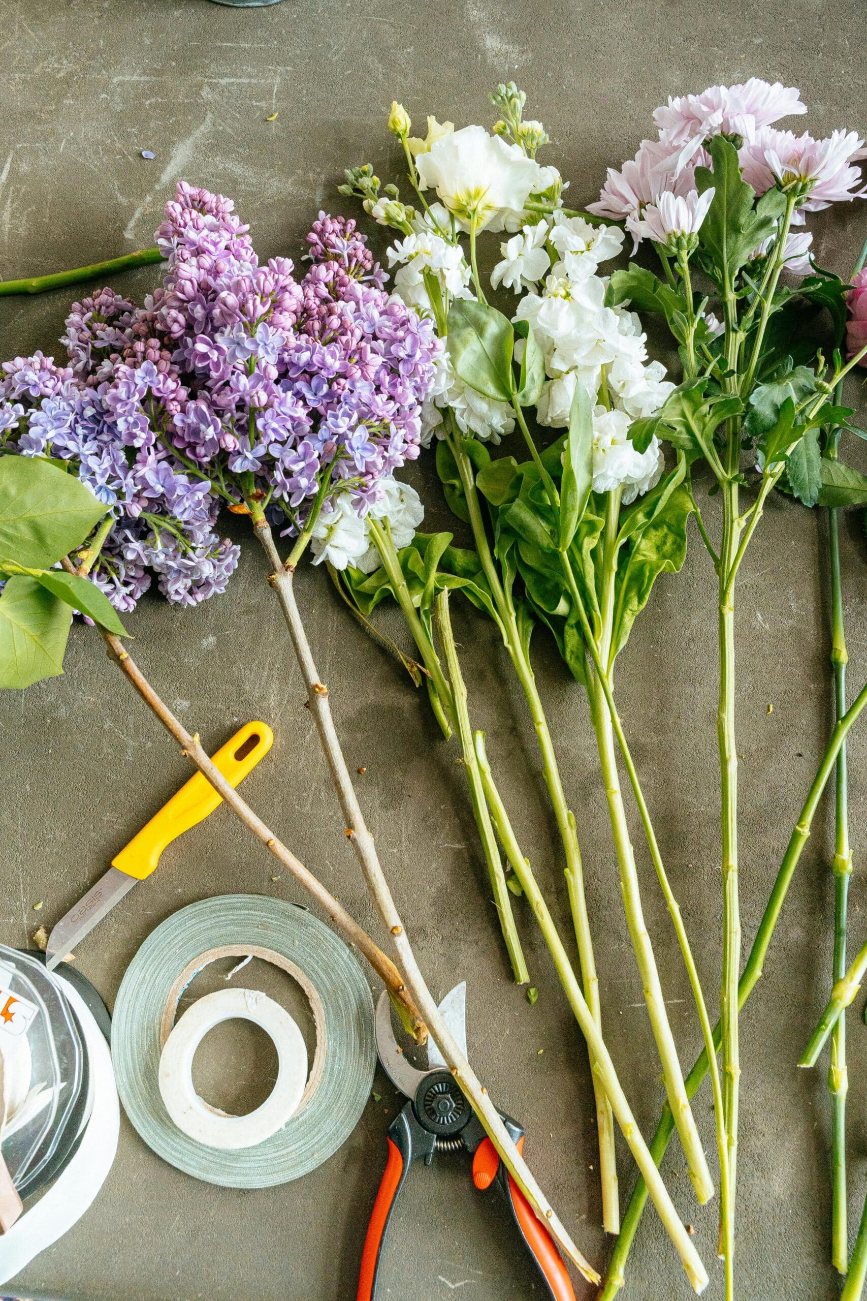 quelles fleurs choisir en mai ?