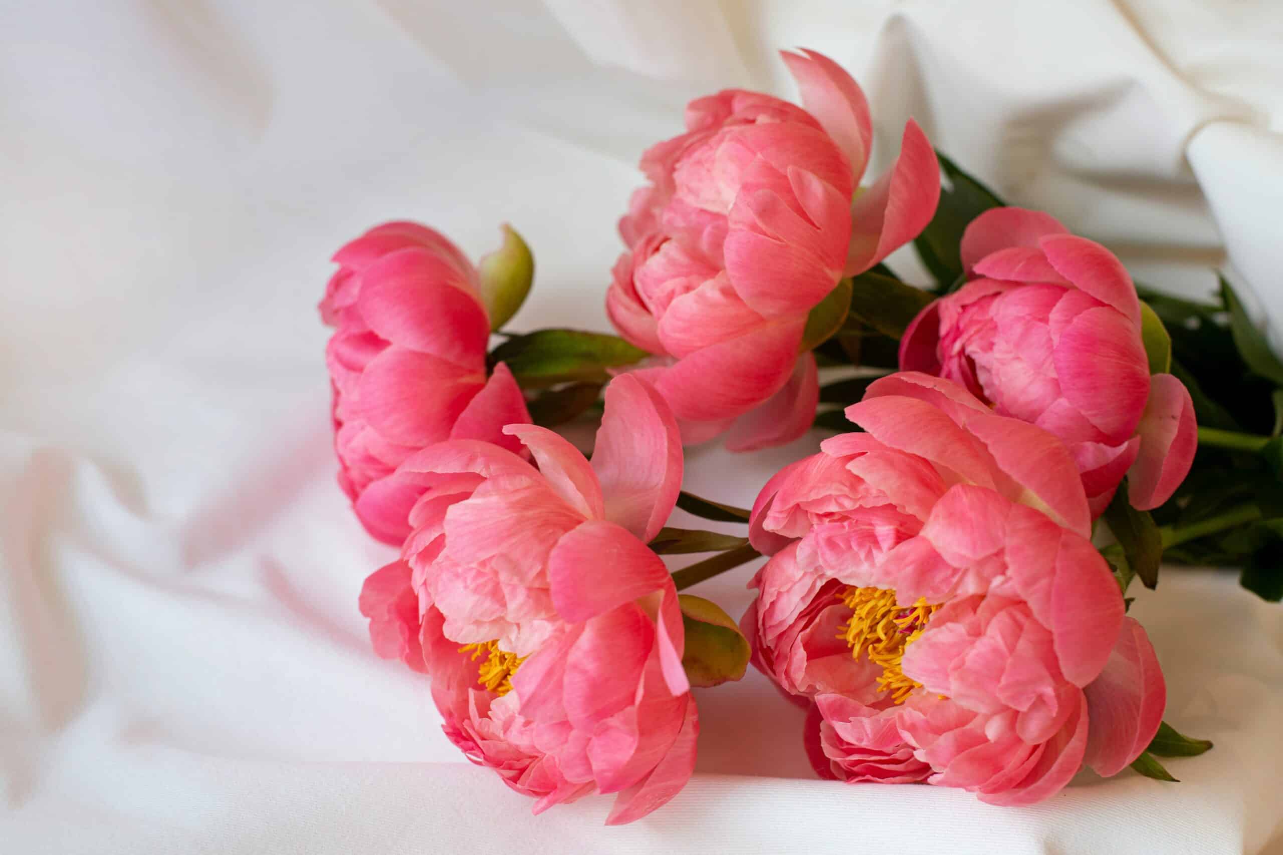 fleurs de qualité