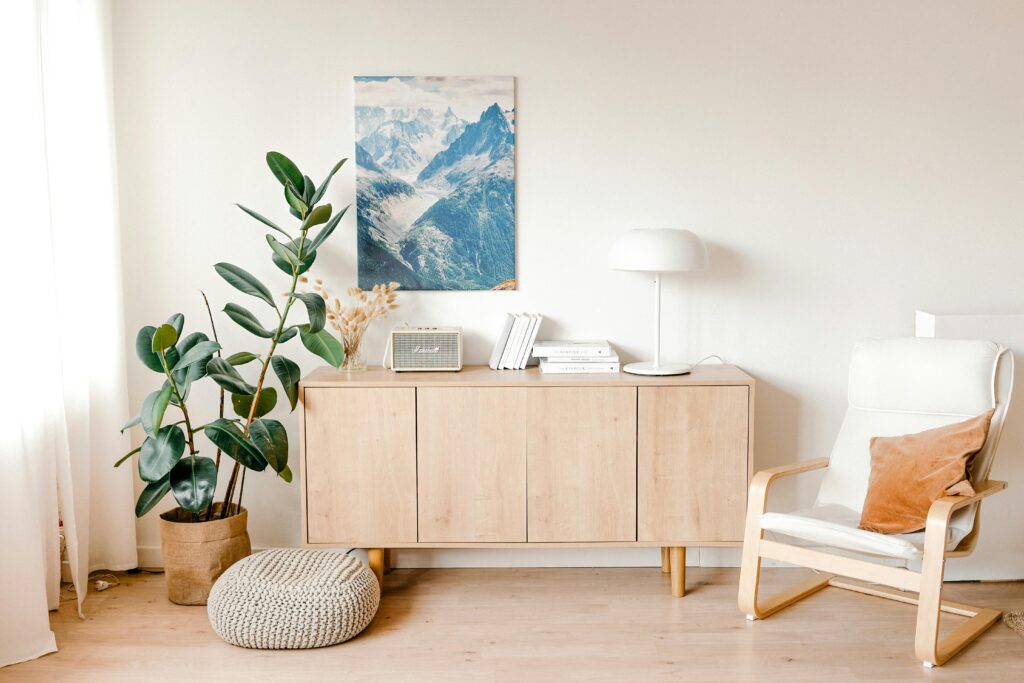 entretien plantes intérieur 3